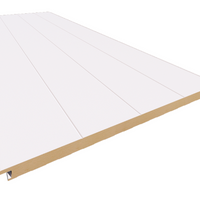 Panel Sándwich de fachada Semiliso